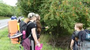 Kdo přežije - 5.ročník Hladových her-a141