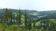 Kdo přežije - 5.ročník Hladových her-a162