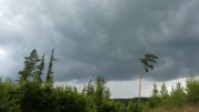 Kdo přežije - 5.ročník Hladových her-a167