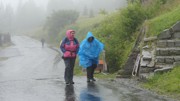 Kdo přežije - 5.ročník Hladových her-a222