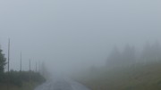 Kdo přežije - 5.ročník Hladových her-a235