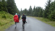 Kdo přežije - 5.ročník Hladových her-a249