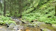 Kdo přežije - 5.ročník Hladových her-a297