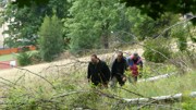 Kdo přežije - 5.ročník Hladových her-a327