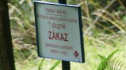 Kdo přežije - 5.ročník Hladových her-a332