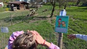 Záhada Velikonočních vajíček 5.4.2026-a003