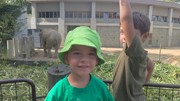 Výlet do ZOO Ostrava