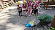 Výlet do ZOO Ostrava 16.6.2026