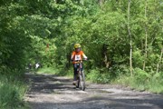 Heřmanický drak 2018-a070