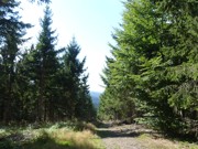 Kdo přežije 27.- 30.8.2026-a034