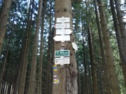 Kdo přežije 27.- 30.8.2026-a036
