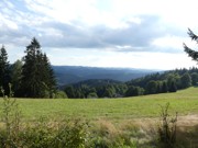 Kdo přežije 27.- 30.8.2026-a040