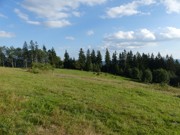 Kdo přežije 27.- 30.8.2026-a045