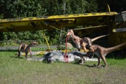 Výlet do Dinoparku Ostrava-a063