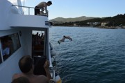 Chorvatsko 2016 - Biograd na Moru 10. - 19.6.2016-a099