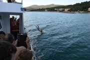 Chorvatsko 2016 - Biograd na Moru 10. - 19.6.2016-a102