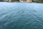 Chorvatsko 2016 - Biograd na Moru 10. - 19.6.2016-a105