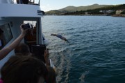 Chorvatsko 2016 - Biograd na Moru 10. - 19.6.2016-a113