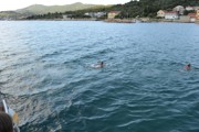 Chorvatsko 2016 - Biograd na Moru 10. - 19.6.2016-a114