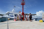 Chorvatsko 2016 - Biograd na Moru 10. - 19.6.2016-a151