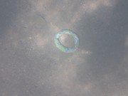 Pobyt v Chorvatsku 9.-18.6.2017-a298