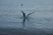 Pobyt v Chorvatsku 9.-18.6.2017-a610