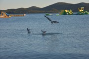 Pobyt v Chorvatsku 9.-18.6.2017-a613