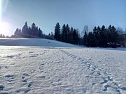 Den druhý - 9. února 2020-a0043