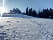 Den druhý - 9. února 2020-a0044