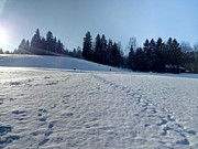 Den druhý - 9. února 2020-a0045