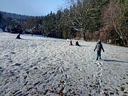Den druhý - 9. února 2020-a0046