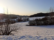 Den druhý - 9. února 2020-a0170