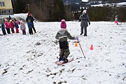 Den pátý - 12. února 2020-a0667