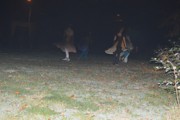 Lampionový průvod se strašením v zahradách.-a118