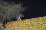 Lampionový průvod se strašením v zahradách.-a163