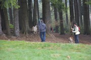 Výlet na chatu Skalka - 8.5.2017-a016