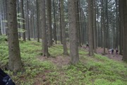 Výlet na chatu Skalka - 8.5.2017-a074