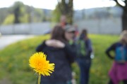 Výlet na chatu Skalka - 8.5.2017-a129
