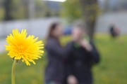 Výlet na chatu Skalka - 8.5.2017-a137